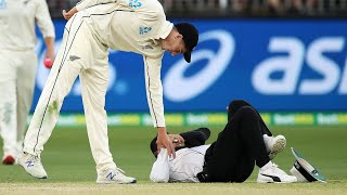 Umpire overturned as Aleem Dar takes a tumble