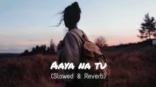 Aaya na tu (slowed + reverb) ~ Arjun Kanungo,Momina Mustehsan | lofi VIBIE