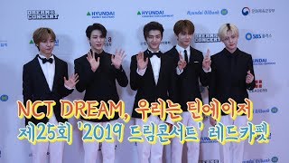 190518 NCT DREAM(드림) 우리는 틴에이져, '제25회 2019 드림콘서트' 레드카펫