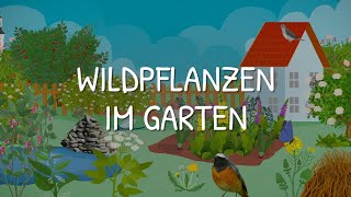 Wildpflanzen im Garten