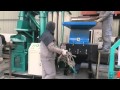 Cable wire recycling machine from Zhengyang Machinery