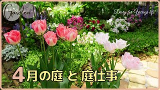 【ガーデンvlog】ガーデンツアー４月中旬の庭の花｜ラックスの刺し芽