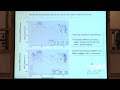 nenad sestan functional genomics of human brain development and evolution 2014