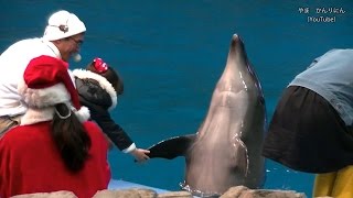 【お客さん参加】 イルカナイトパフォーマンス in クリスマス・イブ / 名古屋港水族館