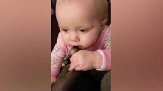 Funniest Babies & Animals Hillarious Fails - TRY NOT TO LAUGH