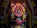 Goddess sri varahi amman #amman #varahiammanmiracles #srimahavarahiamman