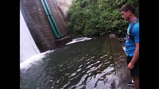 Unlimited fish caught under waterfall