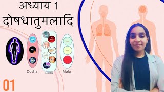 Introduction to Kriya sharir PART-1 l Ch-01 I क्रिया शरीर l Ayurvedic Physiology l BAMS 1st Prof I