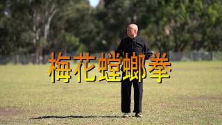Learn Kung fu 2021 -  you can learn Meihua Praying Mantis Kung Fu from Shifu Daniel Wang