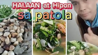 HALAAN AT HIPON SA PATOLA