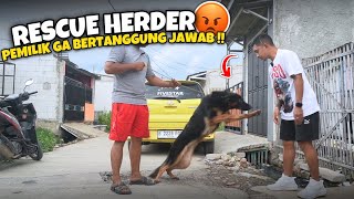 RESCUE ANJING TERLANTAR DI BEKASI ‼️ DITINGGAL PEMILIK PERTAMA NYA KE JERMAN