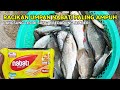 umpan ikan nilem yang susah makan || racikan umpan nilem sungai versi @rendymancing