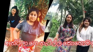 කොහොමද ඇන්ටිලා ට්ක