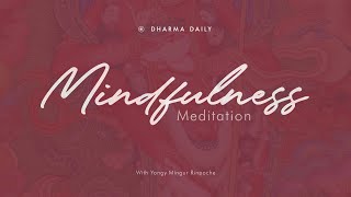 Mindfulness Meditation - 30 minutes  (Yongey Mingyur Rinpoche recording - edited)