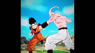 Shadow-ONIMXRU Gohan And Super Buu (Toei)