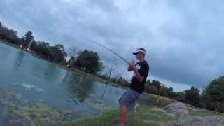 Catching a Big Bass Spawning with a Mattlures Bluegill