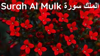 Surah Al Mulk -The Sovereignty سورة الملك