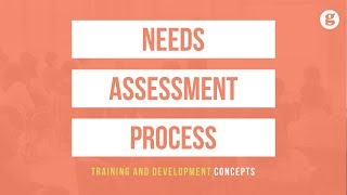 Needs Assessment Process