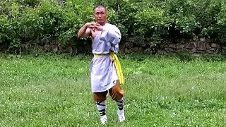 Shaolin Kung Fu BodyBuilding: warm-up, flexibility, endurance, balance, basic level