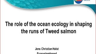 Tweed Salmon and Ocean Ecology