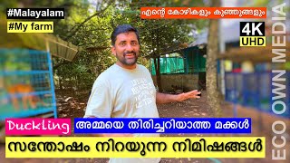 സന്തോഷം നിറയുന്ന നിമിഷങ്ങൾ 😀 | Hatching day