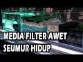 TOP MEDIA FILTER TERBAIK UNTUK AROWANA MUDAH PERAWATAN 2022