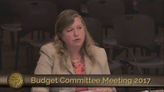 Juvenile Services Budget Presentation 2017