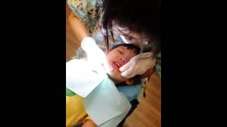 Alexander(Bobo) 看牙記 / Alexander to the Dentist