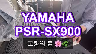 전자올겐 야마하 PSR SX900 고향의봄 연주