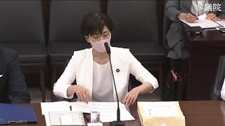 参議院 2020年05月27日 国民生活・経済に関する調査会 #08 石垣のりこ（立憲・国民．新緑風会・社民）