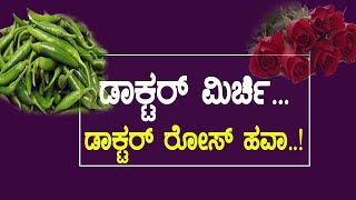 Rose farming, success secret..! ಗುಲಾಬಿ ಬೆಳೆಯಲ್ಲಿ ಚಿಗುರು ಹೆಚ್ಚಾಗಲು ಹೀಗೆ ಮಾಡಿ..! #organicfloriculture