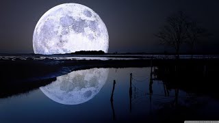 See Moon Momina ahit ||~ 2022 ||| official audio song  king digital video