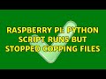 Raspberry Pi: python script runs but stopped copping files