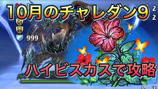 【パズドラ】10月のチャレダンダンジョン9をロザリンで攻略　※変身しなくても強い