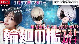 【ニーアリィンカーネーション】レプリカントコラボまでもう少し！ニーアコラボ＆極光＆月末切り替えこれだけは取り逃がし厳禁！【CVに悶える女性実況】推しの9sは涙脳筋美女３人PT