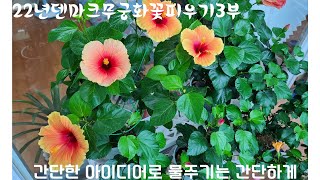 22년 덴마크무궁화꽃피우기 3부