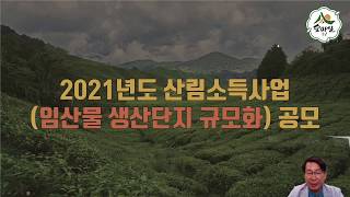 2021년 작물생산단지  산림복합경영단지 산림청 공모사업  산림 임업  약초  독림가  임업후계자 산림조합 약용식물 귀농 귀촌  한국임업진흥원  임업멘토 6차산업 송동규