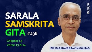 Sarala Samskrita Gita - 236 (13- 13\u002614) by Dr Karanam Aravinda Rao