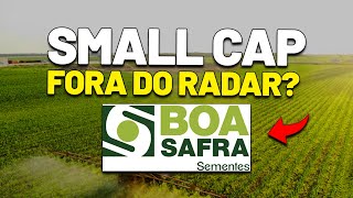 🌱BOA SAFRA (SOJA3): Uma das melhores small caps da bolsa? Está barata? Quais são as perspectias?