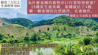 「福音三人行之生命科學」004: 為什麼泰國的植物出口行業特別發達？ 18種原生鹿角蕨，泰國就佔了4種。聊一聊泰國的自然條件，社會條件。 潘露\u0026美懿\u0026史金霞