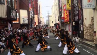 2014安濃津よさこい「櫛形ファイヤーズ」津駅前パレード