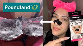 Testing The Poundland Dermav10 Charcoal Pore Strips|Review2025