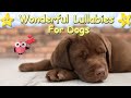 Effective Relaxing Dog Music 1 Hour ♫ Calm Relax Your Labrador ♥ Lullaby For Animals Dogs Pet Music