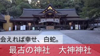 奈良県【大神神社】幸せになりたかったら絶対に玉子は持って行こう!!白蛇様に幸せにさせてもらえる方法！最古の神社‥山が御神体。【三輪明神、三輪山】会えれば幸せの、白蛇が本当に住んでいる。