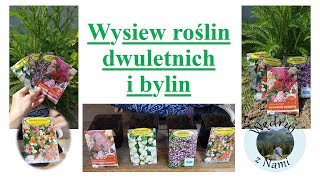 WYSIEW ROŚLIN DWULETNICH I BYLIN. ZRÓB WŁASNE SADZONKI.