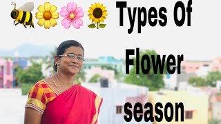 Types of flower season | Bee Keeping | VIBIS HONEY | பூக்கும் மரங்களும் காலங்களும் |