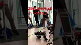 高速二足歩行ロボット！ヘリオス見参！ROBO-ONE認定大会ロボワンライト級【biped robot】