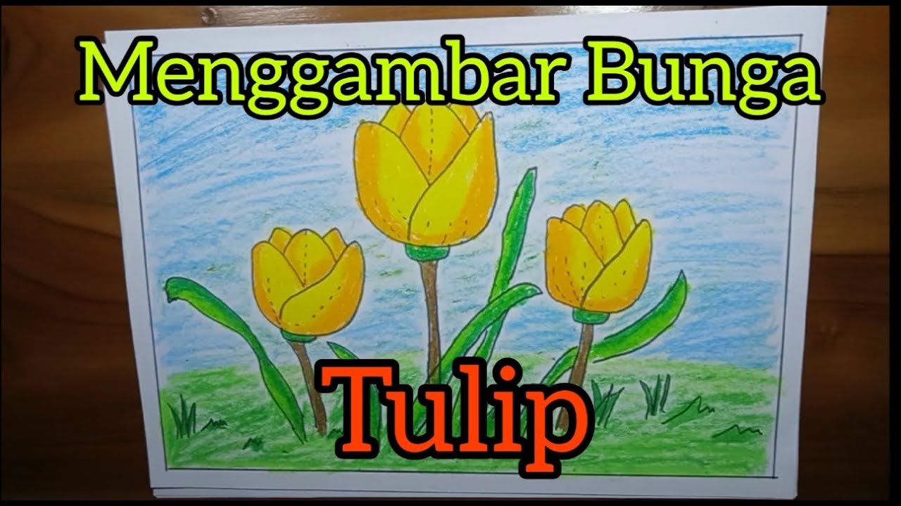 Menggambar Bunga Tulip Dan Mewarnai || The Tulip Flower - YouTube