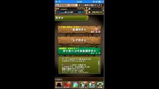 パズドラ　ファミ通アワード2014受賞記念イベント ガンホーコラボ友情ガチャ　37連