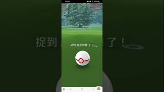 ［捕捉神獸］虛吾伊德#pokemongo #pokemon #寶可夢 #寶可夢go #神獸 #虛吾伊德 #究極異獸